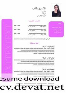 professional Arabic CV سيرة ذاتية احترافية