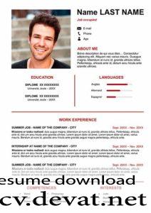 free resume model for job in Word