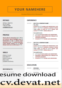 Simple Orange CV English
