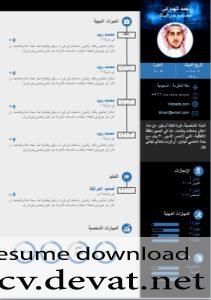 Modern Arabic CV  سيرة ذاتية عربية