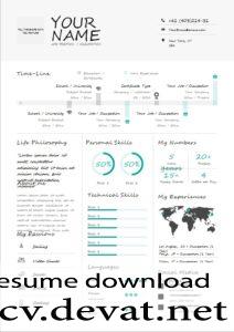 Infographic CV Resume Template Free Download