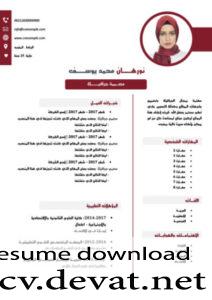 Modern Arabic CV Resume سيفي احترافي