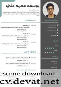 professional Arabic CV سيرة ذاتية احترافية