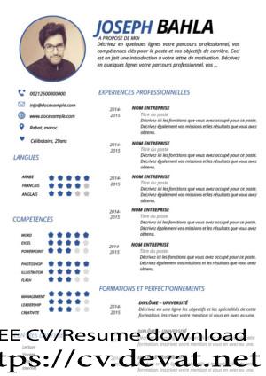 Best CV in French Biographie française 