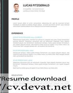 Free Perfect Resume Template