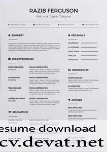 Free Resume Template Word Format