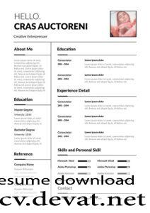 Free Professional Resume Template in Mulit File Format