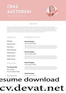 Free Professional Resume Template in Word Format