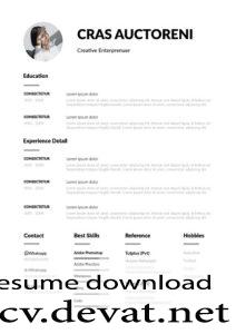 Classic Resume Template Free Download