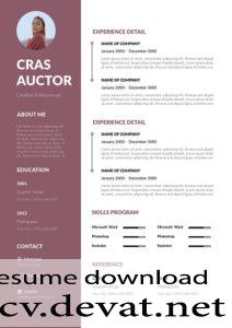 Best Free resume template Professional