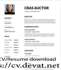 Creative Free Resume Template in Word Format Download