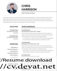 Free Professional Resume Template in Word  Format