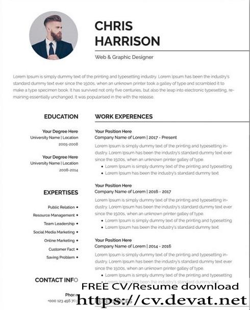 professional resume template free word