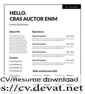 Simple 2 Column Free Resume Template in Word
