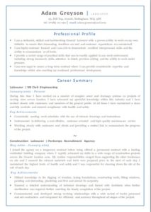 CV template with UK sample information word