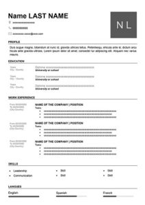 One Page Resume CV Template