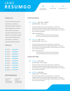 free modern and professional resume template