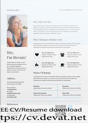 Free Resume Template in INDD Word For Professionals 2