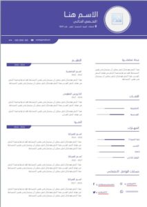 CV Arabic word نموذج سيرة ذاتية بالورد