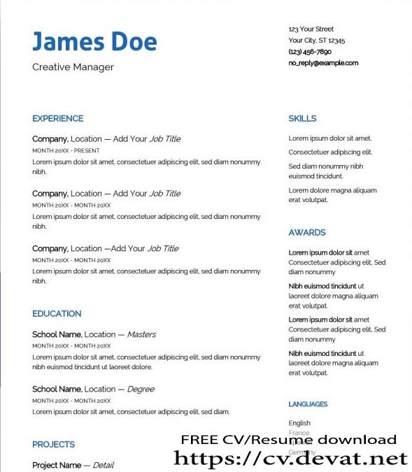 professional word resume template 1000x750