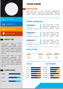 Free Professional CV/Resume template in Microsoft Word | Download free template now