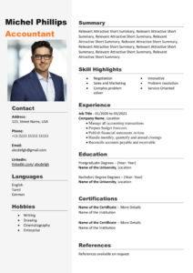 Free Download Professional CV Templates
