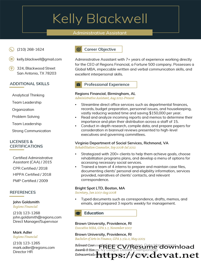 Professional Resume Template Imperial Gold