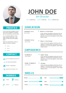 Simple professional cv word download