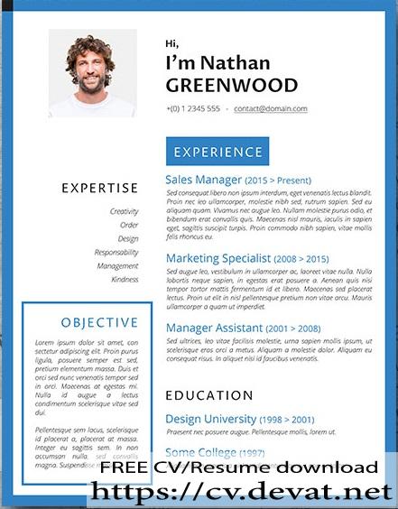 level up free resume download