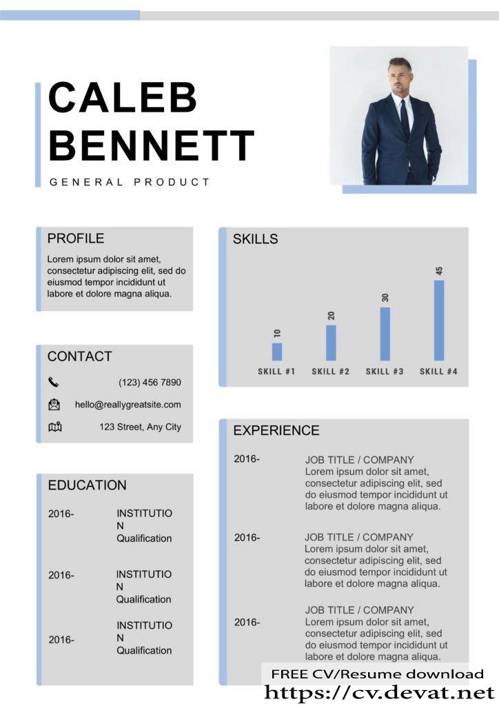 CV Resume Format Word سيرة ذاتية انجليزية مجانا ورد 