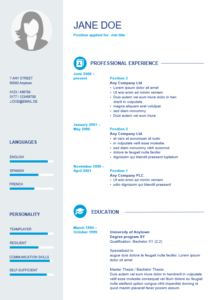 CV template with classic design Free Download