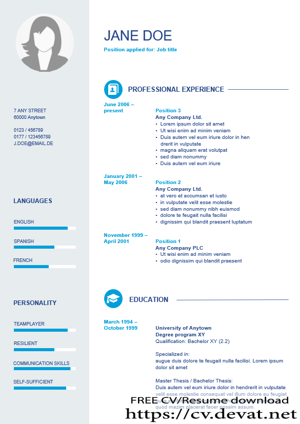 CV template with classic design Free Download