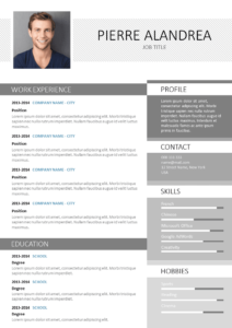 Free Professional CV Resume Template word download