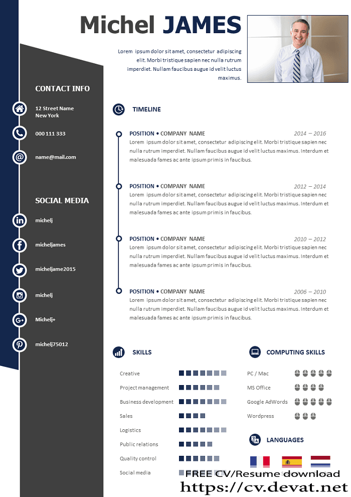 Free Professional Resume Template CV English