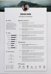 Free Professional Word Resume Template download