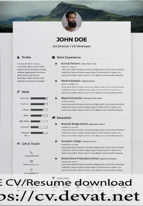 Free Professional Word Resume Template download 1