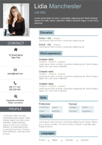 Free Resume Template In Word Format