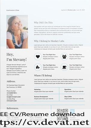 Free Resume Template Word For Professionals 2
