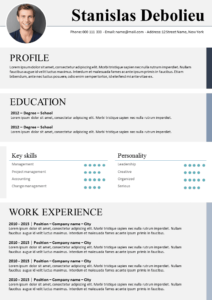 Free clean resume template download