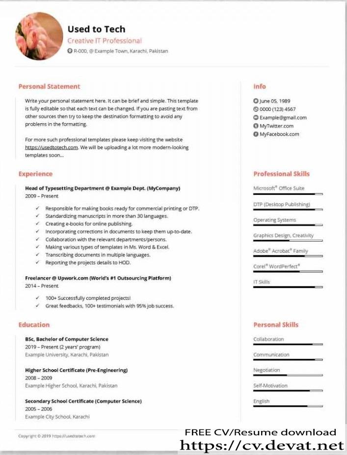 Free download CV template in Ms Word uk usa