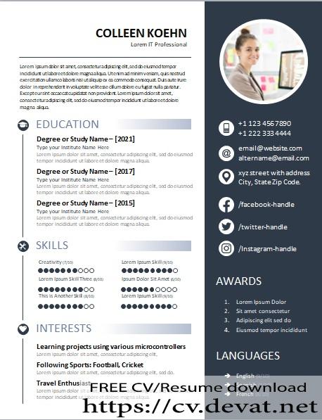IT professional fresher resume template for ms word 1