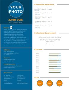 Modern Professional Resume Template Free Word Format