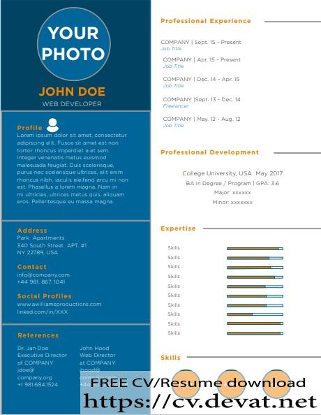 Modern Professional Resume Template Free Word Format