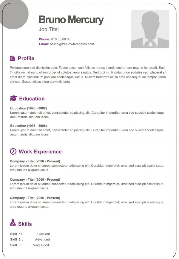 Perfect CV Format Download for free Microsoft Word
