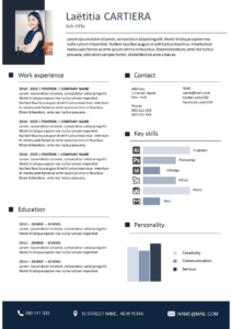 Resume Clear and modifiable Creative CV template free download