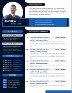 Download Business Analyst Resume Format in MS Word