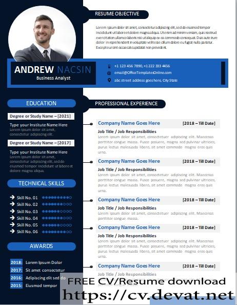 business analyst resume template in ms word