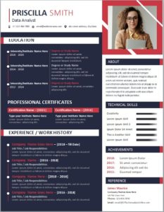 Download MS Word Resume Template for female women cv