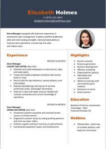 download Professional Resume Template word