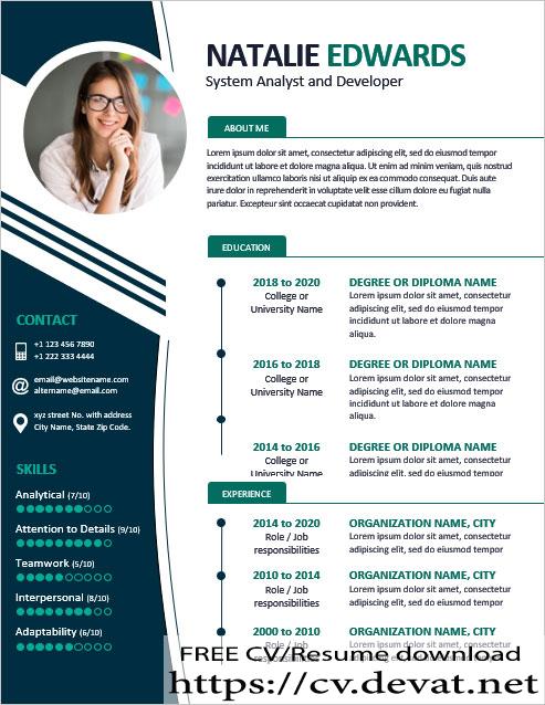 it professional resume template for ms word